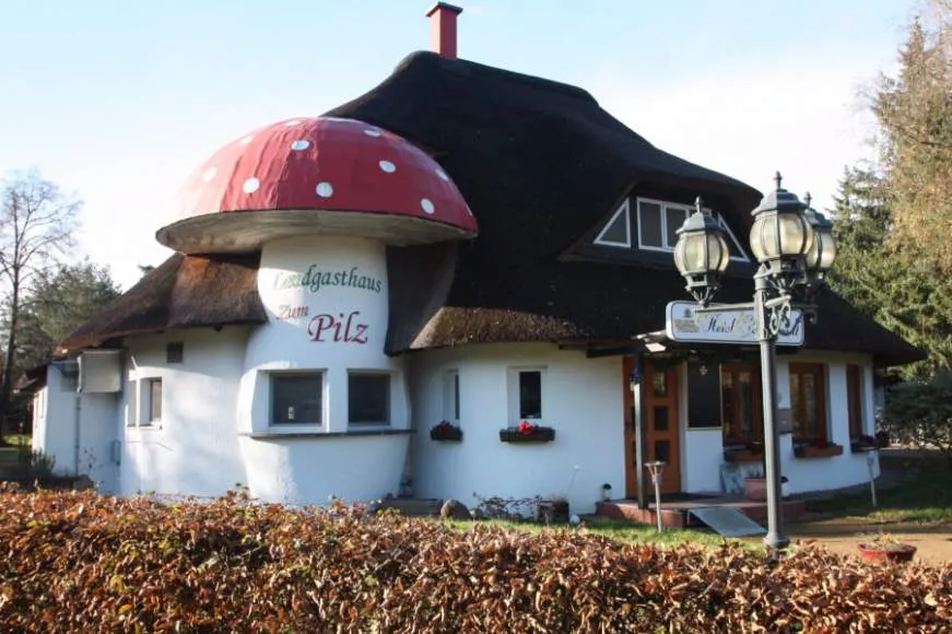 Galeriebild landgasthaus-zum-pilz-restaurant