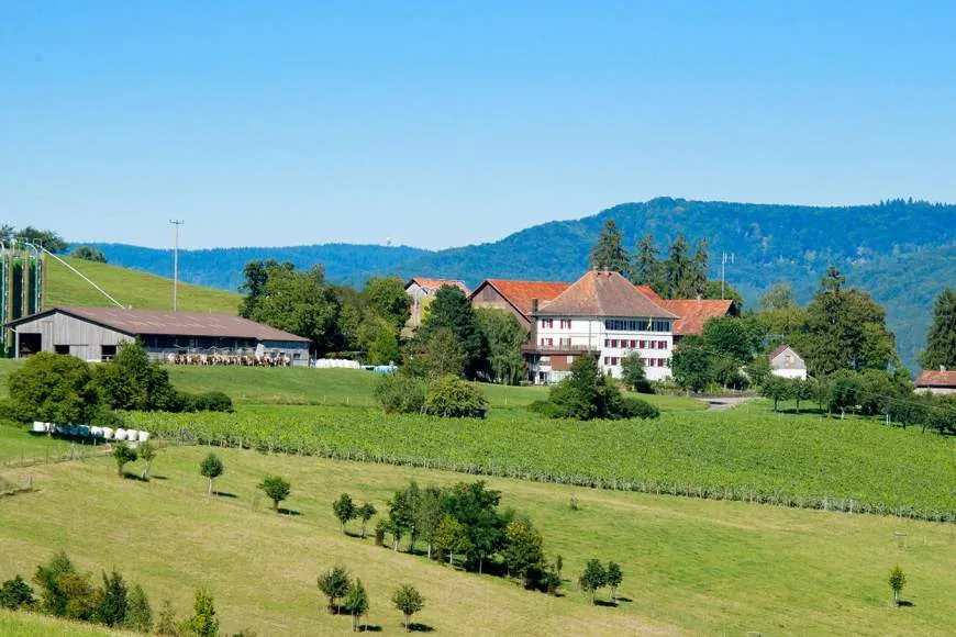 Galeriebild berghof-hallau-gebaeude