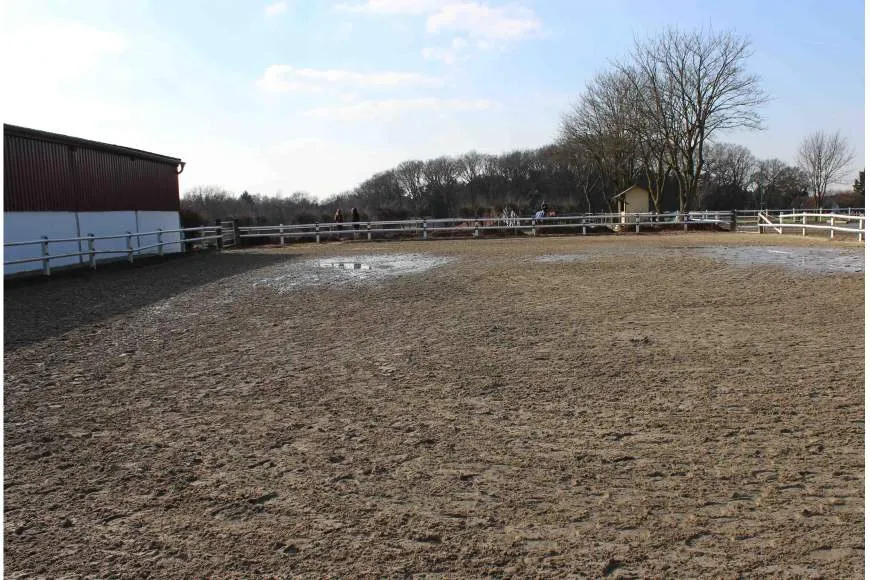 Galeriebild reiterhof-ressing-4.JPG