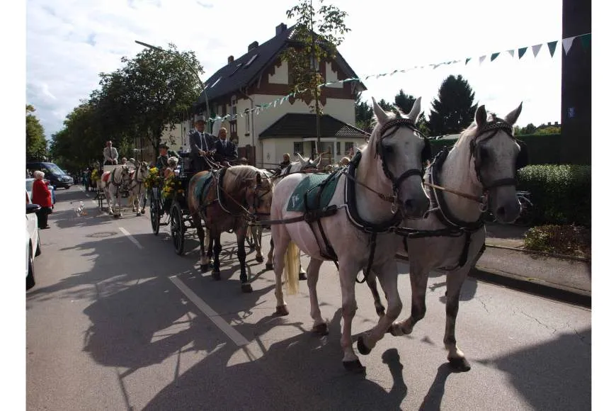 Galeriebild reiterhof-ressing-5.jpg