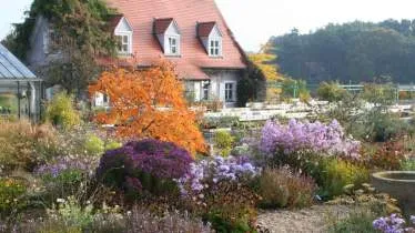 Unternehmen Staudengärtnerei Augustin