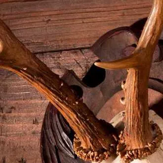 Unternehmen Restaurant Jägerstube Zum Kreuz