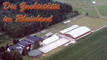 Unternehmen Gestüt Hürtgenwald