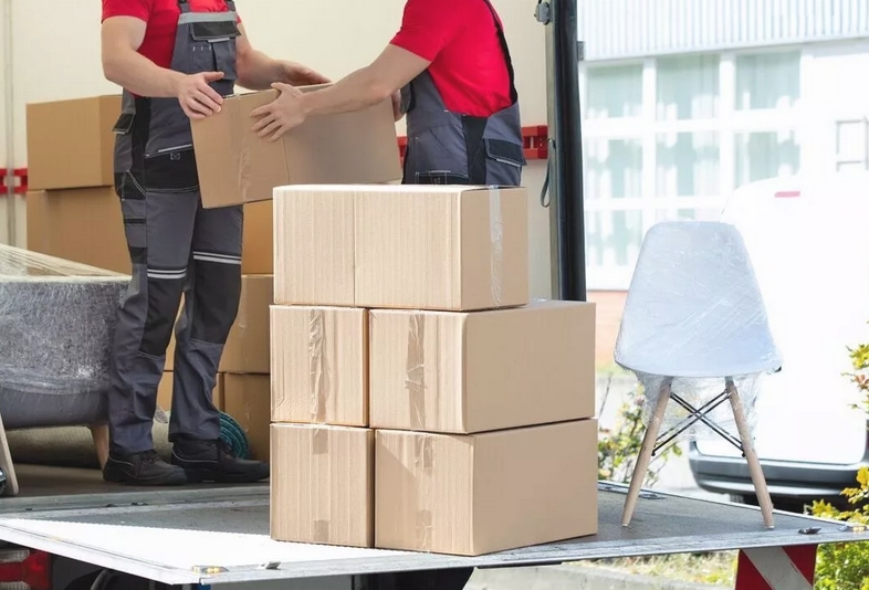 Galeriebild 0711591001768818751_790327.jpg