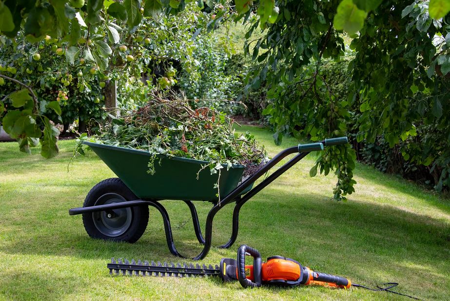 Galeriebild 0148620001767855039_790316.jpg