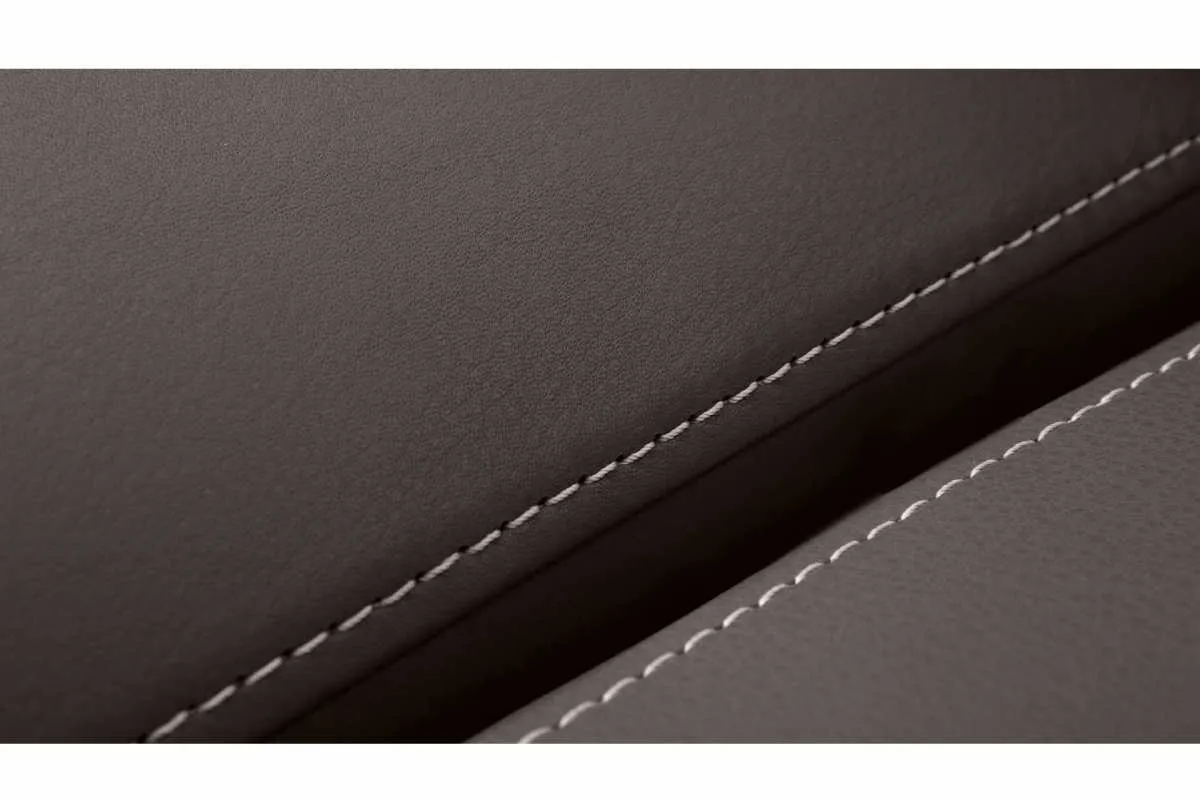 Galeriebild leder2.jpg