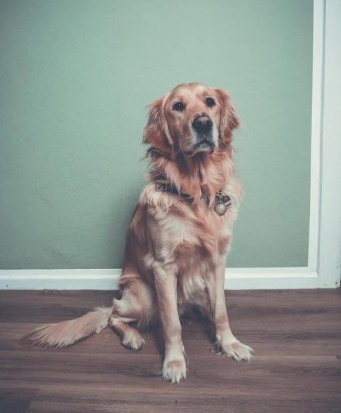 Galeriebild 73KJH4xvca.jpg