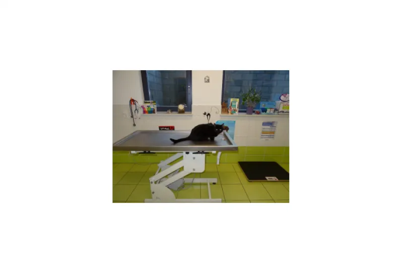 Galeriebild cabinet-veterinaire-swiontek-salle-operation-chat-300x225.png