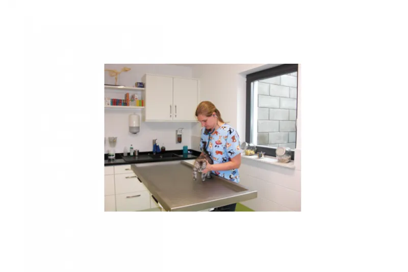 Galeriebild cabinet-veterinaire-swiontek-soins-300x225.png