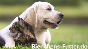 Unternehmen Tiernahrung Sabine Betke - - Artgerechtes und chemiefreies - - Katzen- und Hundefutter
