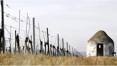 Unternehmen Weingut Wageck Pfaffmann GbR