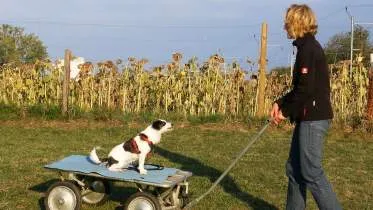 Unternehmen VALORE-Beratung, A. Gräub