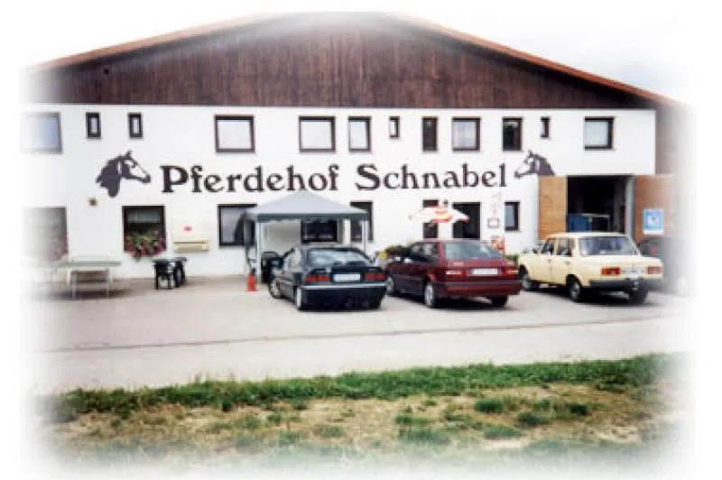 Galeriebild pferdehof-schnabel-gbr-1-1-1525847387.jpg