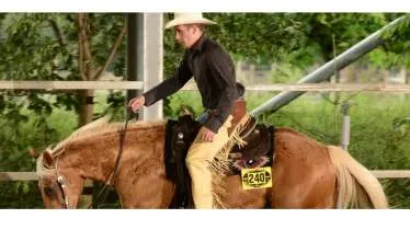 Unternehmen Stop N Go Trainingstable