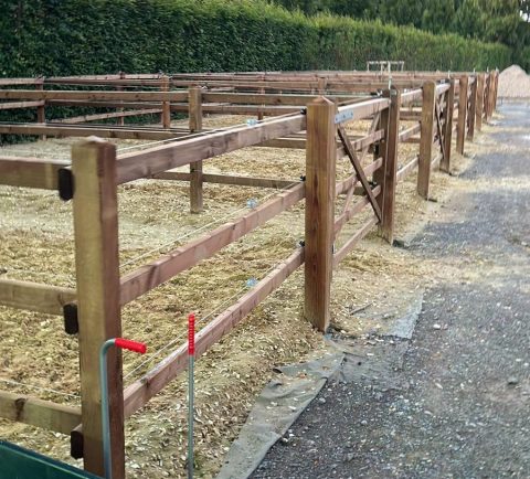 Galeriebild 0013330001747315720_790094.jpg