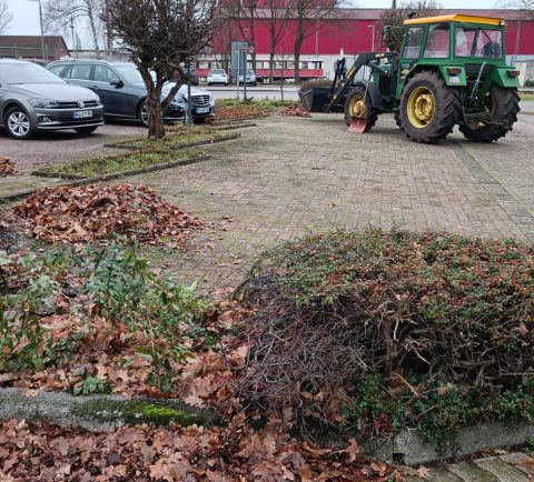 Galeriebild 0018975001747315720_790094.jpg