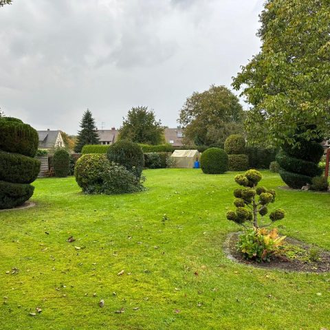 Galeriebild 0021109001747315720_790094.jpg