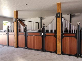 Galeriebild 0025135001747315720_790094.jpg