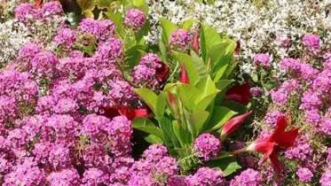 Unternehmen Dienstleistungen T.Lange