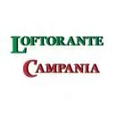 Firmenlogo von Loftorante Campania