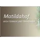 Firmenlogo von Pferdezucht Matildahof