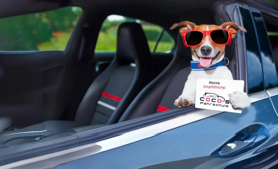 Galeriebild 0825395001768913273_790329.jpg