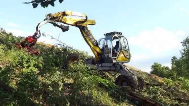 Unternehmen Forst- und Landschaftspflege Bechter