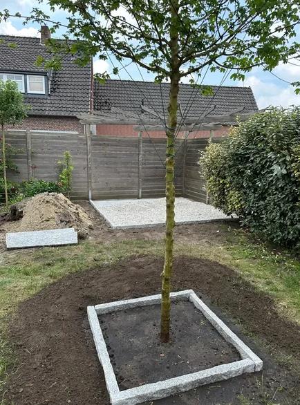 Galeriebild 0330615001746508525_790062.jpg