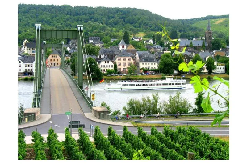 Galeriebild hotel-restaurant-zur-moselbruecke-aussicht.jpg