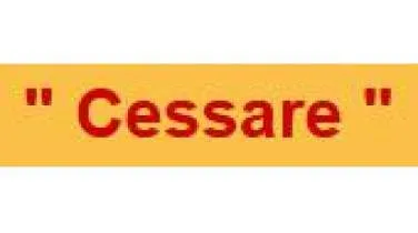 Unternehmen "Cessare" ambulanter Betreuungs- und Pflegedienst (bei allen Kassen zugelassen)