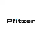 Firmenlogo von Georg Pfitzer Dreherei GmbH & Co. KG