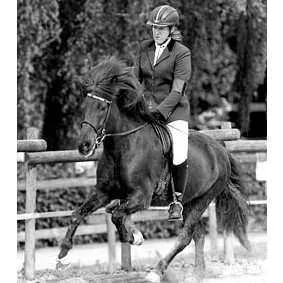 Unternehmen Mobile Reitlehrerin - Heike Hofmeier-Zölle