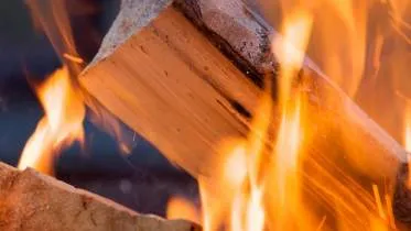 Unternehmen LFS-Frank ABE