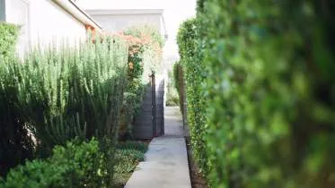 Unternehmen Naturgarten Lippe