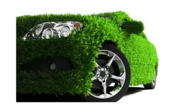 Unternehmen ECO Auto Cosmetik