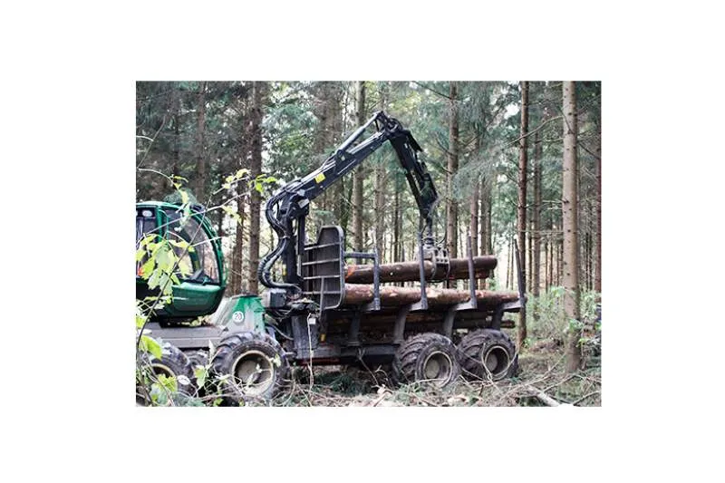 Galeriebild forstunternehmen-markus-gabele-abtransport-baumstaemme.jpg