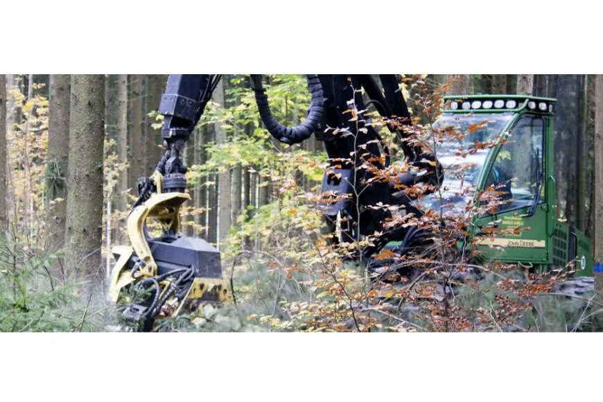 Galeriebild forstunternehmen-markus-gabele-bagger-im-wald.jpg