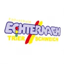 Firmenlogo von Fahrschule Echternach