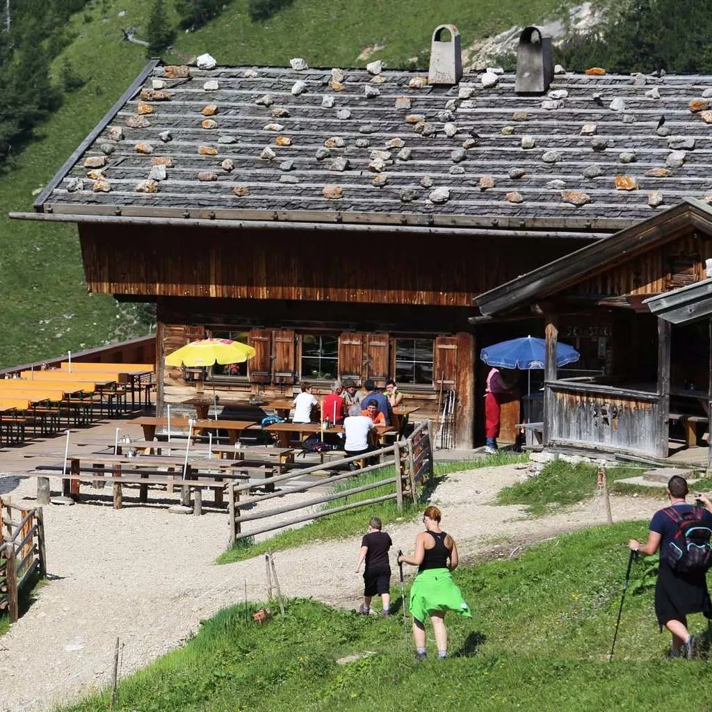 Unternehmen Berggasthaus Dalfaz Alm