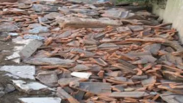 Unternehmen M. Knippel oHG