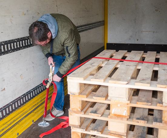 Galeriebild 0525513001760537854_790226.jpg