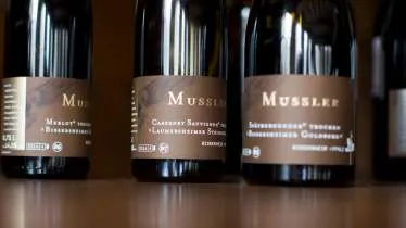 Unternehmen Weingut Mussler