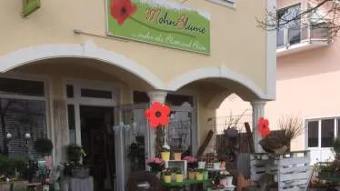 Unternehmen MohnBlume