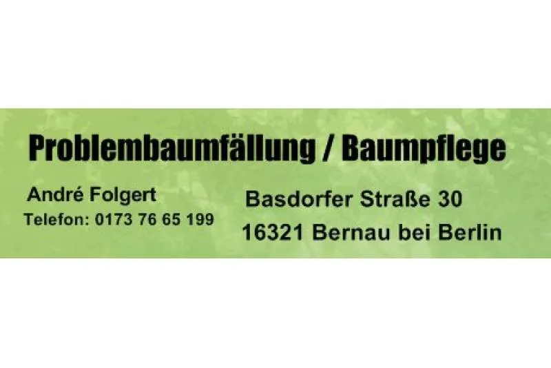 Galeriebild andre-folgert-problembaumfaellung-baumpflege-1-1-1529584192.jpeg