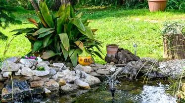 Unternehmen Galabau Thorwe Schlender