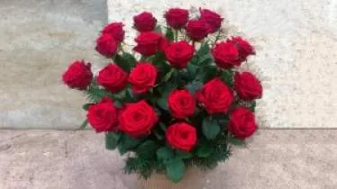 Unternehmen Friedhofsgärtnerei Friedrich Müller KG