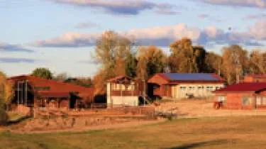 Unternehmen Pferdepension Yellow Rose