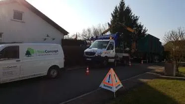 Unternehmen TreeConcept Baumpflegebetrieb & Sachverständigenbüro