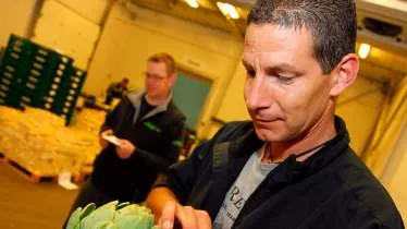 Unternehmen Obst- und Gemüsegrosshandel Bauer GmbH & Co. KG