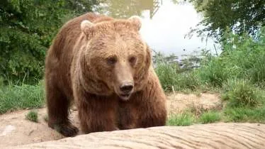 Wild- und Freizeitpark Westerwald